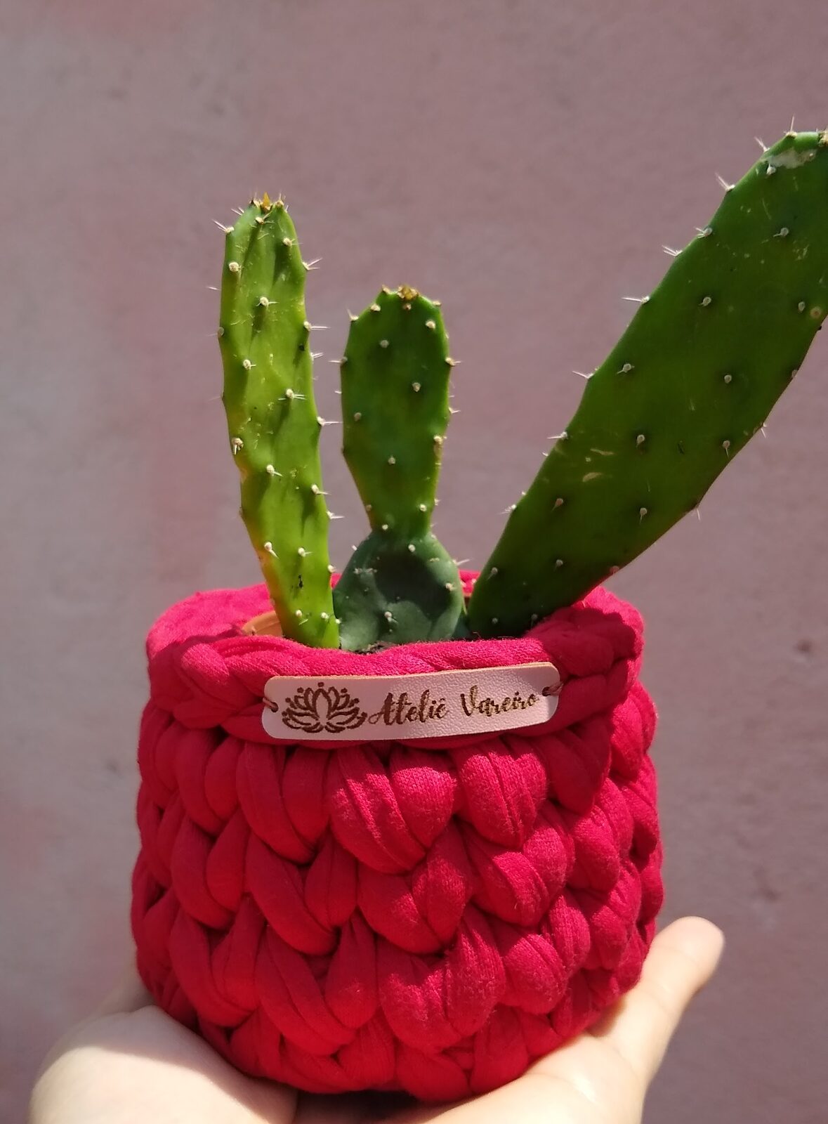Cachepot rosa em fio de malha com cacto, etiqueta Ateliê Vareiro